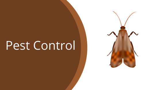 Pest Control Products